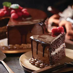 Zatpat Food Premixes Cake Premix